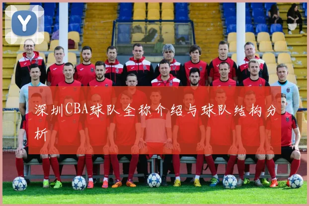 深圳CBA球队全称介绍与球队结构分析
