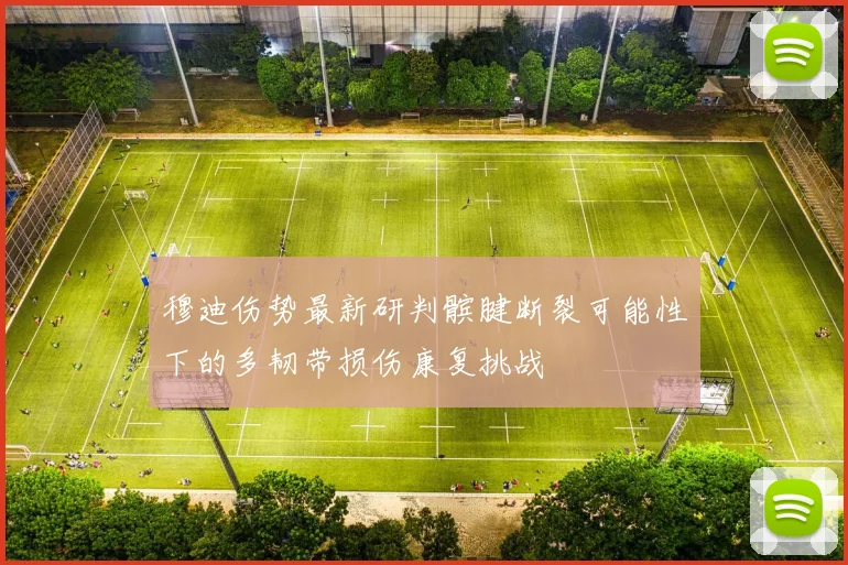 穆迪伤势最新研判髌腱断裂可能性下的多韧带损伤康复挑战